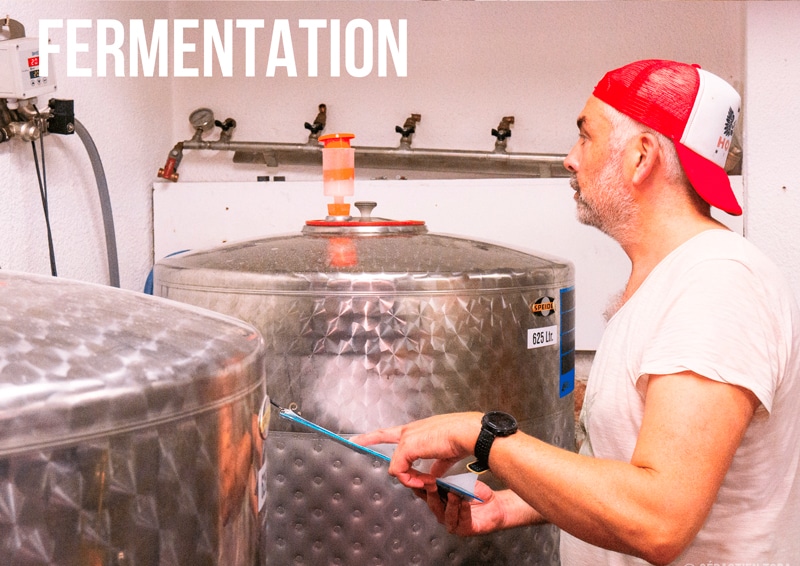 Le brasseur niçois Olivier Cautain et ses cuves de fermentation